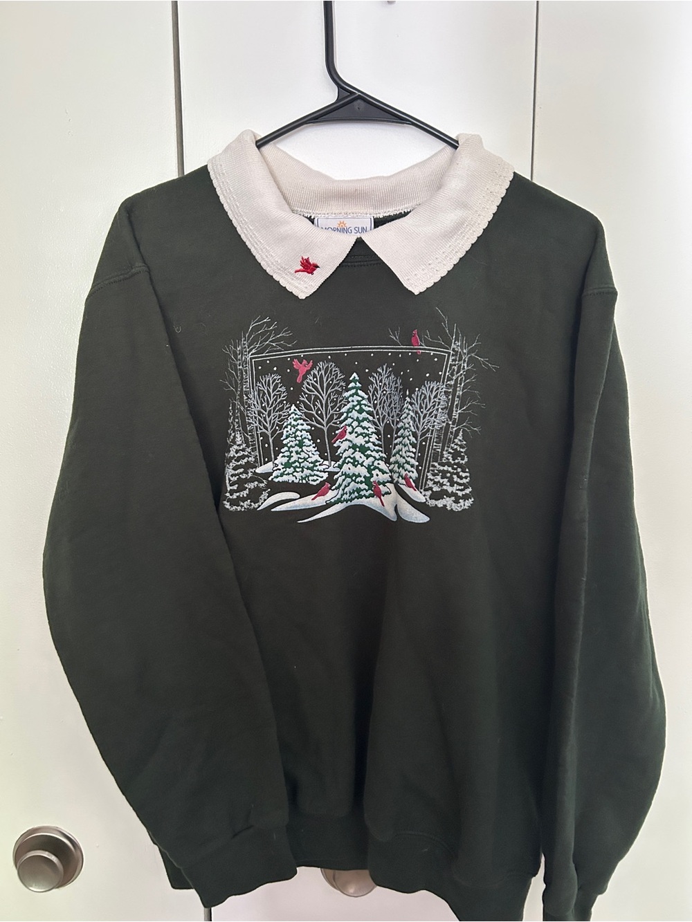 Morning sun snowy cardinal sweater